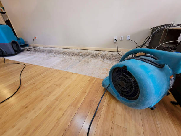 Professional Burst Pipe Water Damage technician working in Pine Valley, UT